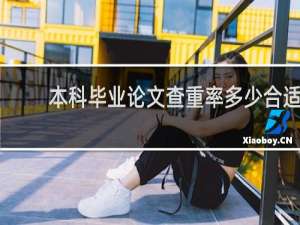 本科毕业论文查重率多少合适