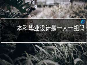 本科毕业设计是一人一组吗