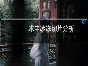 术中冰冻切片分析(关于术中冰冻切片分析的简介)
