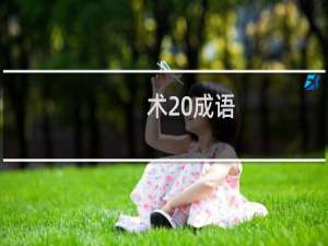 术 成语