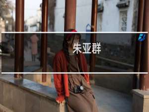 朱亚群(关于朱亚群的简介)