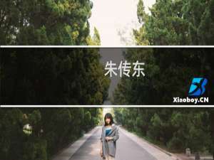 朱传东(关于朱传东的简介)