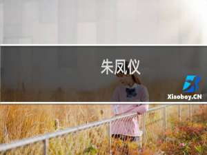 朱凤仪(关于朱凤仪的简介)