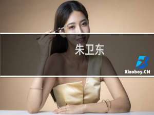 朱卫东(关于朱卫东的简介)