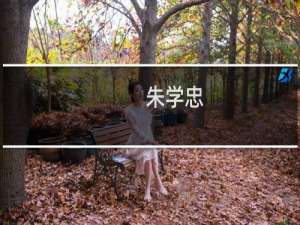 朱学忠(关于朱学忠的简介)