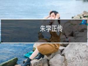 朱学正传(关于朱学正传的简介)