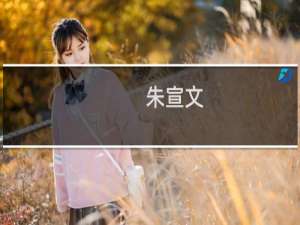 朱宣文(关于朱宣文的简介)