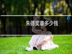 朱德奖章多少钱