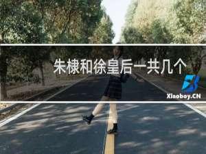 朱棣和徐皇后一共几个孩子（朱棣有多少个老婆只有一个老婆便是徐皇后）