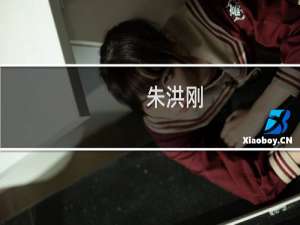 朱洪刚(关于朱洪刚的简介)