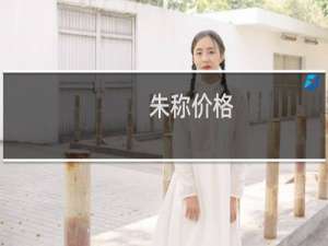 朱称价格