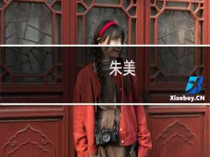 朱美(关于朱美的简介)