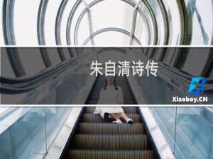 朱自清诗传(关于朱自清诗传的简介)
