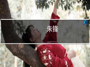 朱锋(关于朱锋的简介)