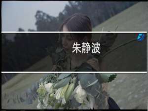 朱静波(关于朱静波的简介)