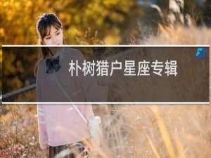 朴树猎户星座专辑
