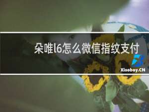 朵唯l6怎么微信指纹支付