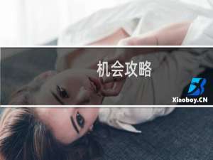 机会攻略