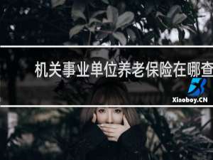机关事业单位养老保险在哪查