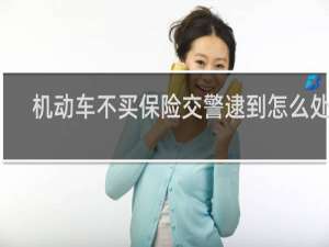 机动车不买保险交警逮到怎么处置