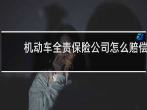 机动车全责保险公司怎么赔偿