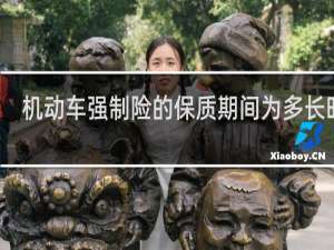 机动车强制险的保质期间为多长时间