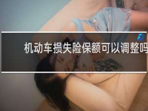 机动车损失险保额可以调整吗