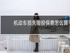 机动车损失险投保费怎么算