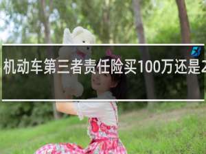 机动车第三者责任险买100万还是200万