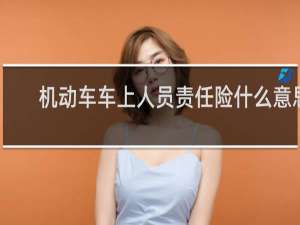 机动车车上人员责任险什么意思