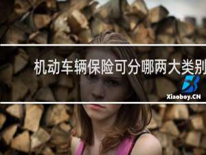 机动车辆保险可分哪两大类别