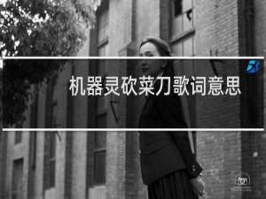 机器灵砍菜刀歌词意思