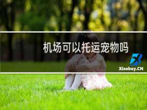 机场可以托运宠物吗