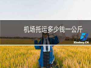 机场托运多少钱一公斤