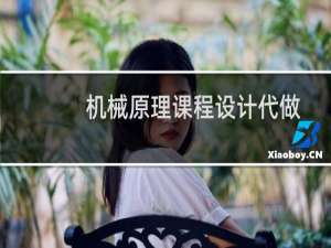 机械原理课程设计代做