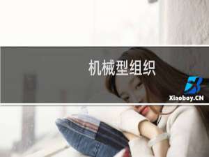 机械型组织(关于机械型组织的简介)
