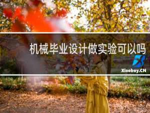 机械毕业设计做实验可以吗