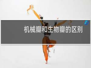 机械瓣和生物瓣的区别