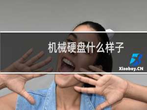 机械硬盘什么样子