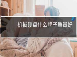 机械硬盘什么牌子质量好
