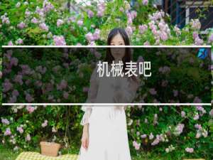 机械表吧