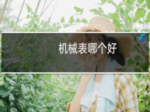 机械表哪个好