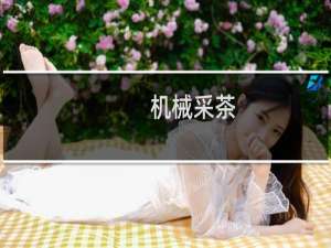 机械采茶