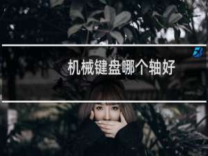 机械键盘哪个轴好