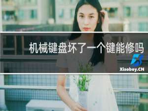 机械键盘坏了一个键能修吗