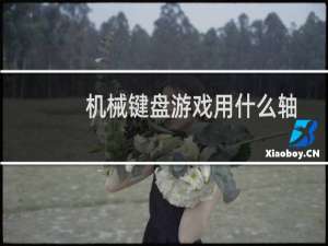 机械键盘游戏用什么轴
