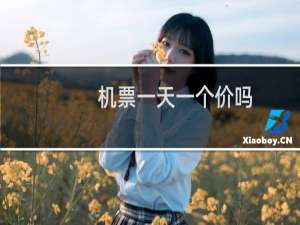 机票一天一个价吗