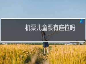 机票儿童票有座位吗