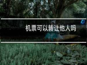 机票可以转让他人吗