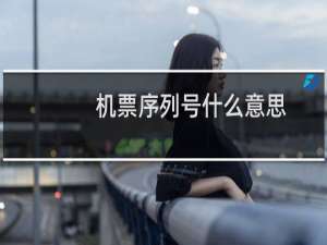 机票序列号什么意思